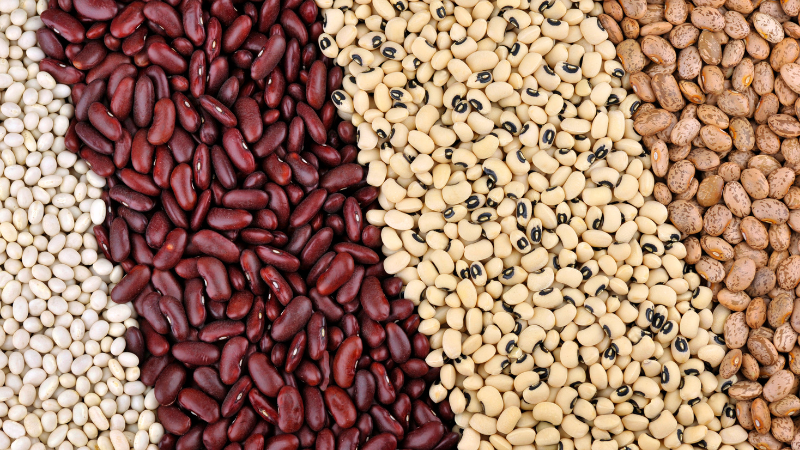 Cooking Dried Beans